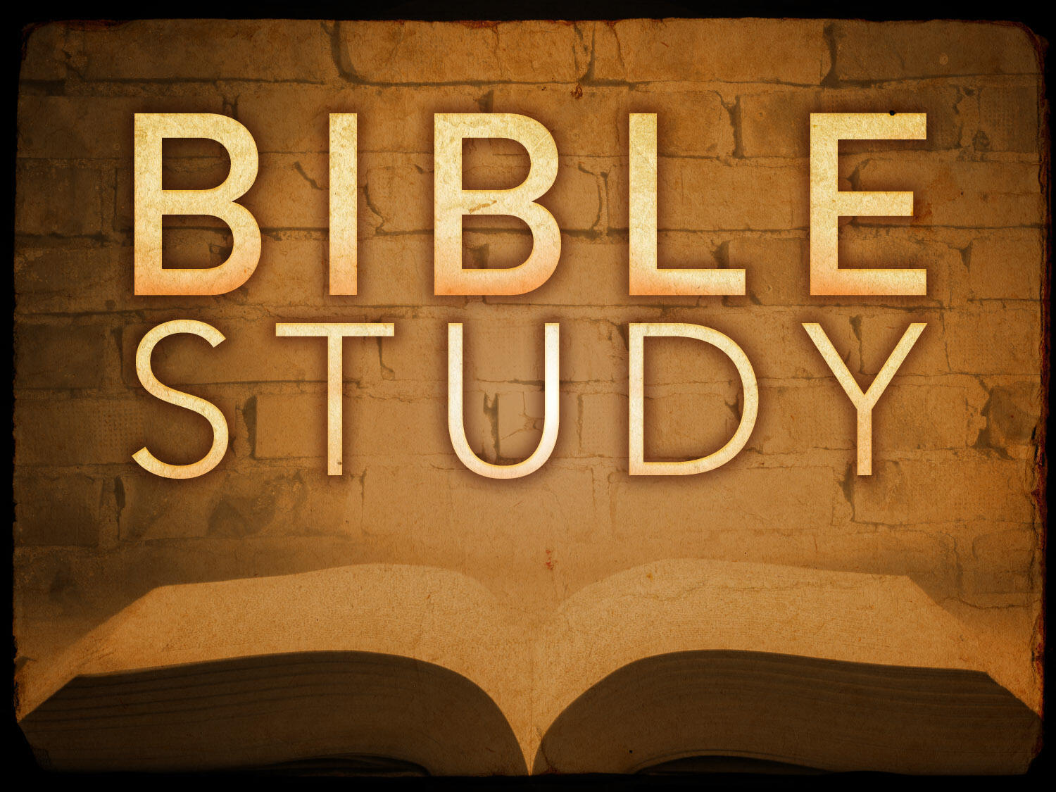 Youth Bible Study Bible Study