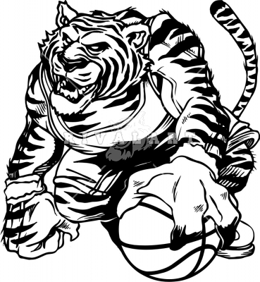Basketball Tiger   Tiger Pictures   Mascots   Photographsimages Com