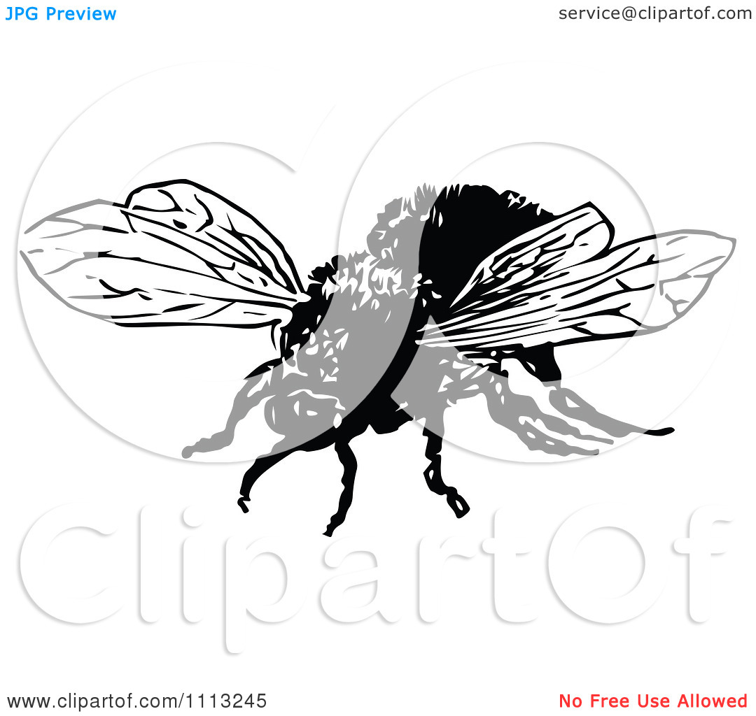 Clipart Vintage Black And White Bumble