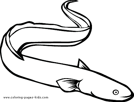 Ocean Animals Coloring Pages And Sheets Can Be Found In The Ocean    