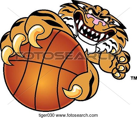 Of Tiger Holding Basketball With Angry Face Tiger030   Search Clipart