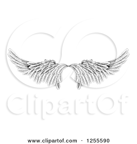 Pair Of Black And White Angel Or Eagle Wings By Geo Images
