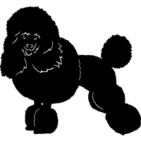 Poodle Clip Art Free Cliparts That You Can Download To You Computer    