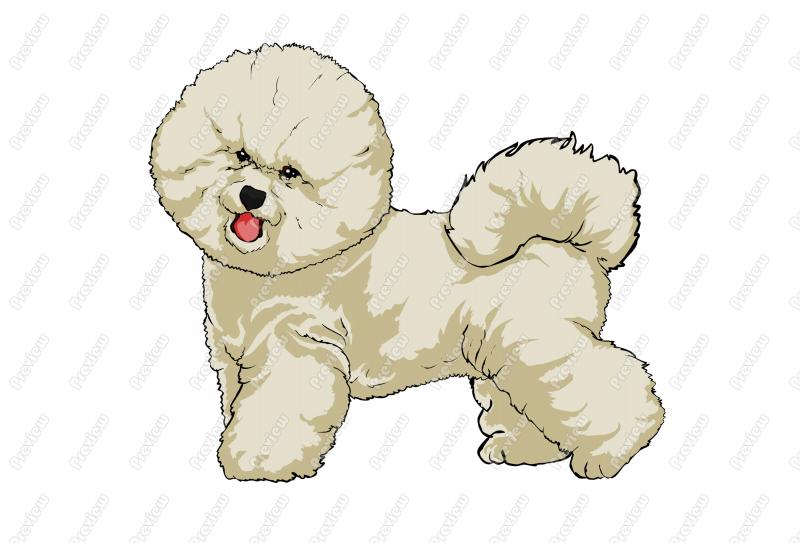 Realistic Bichon Frise Dog Character Clip Art   Royalty Free Clipart