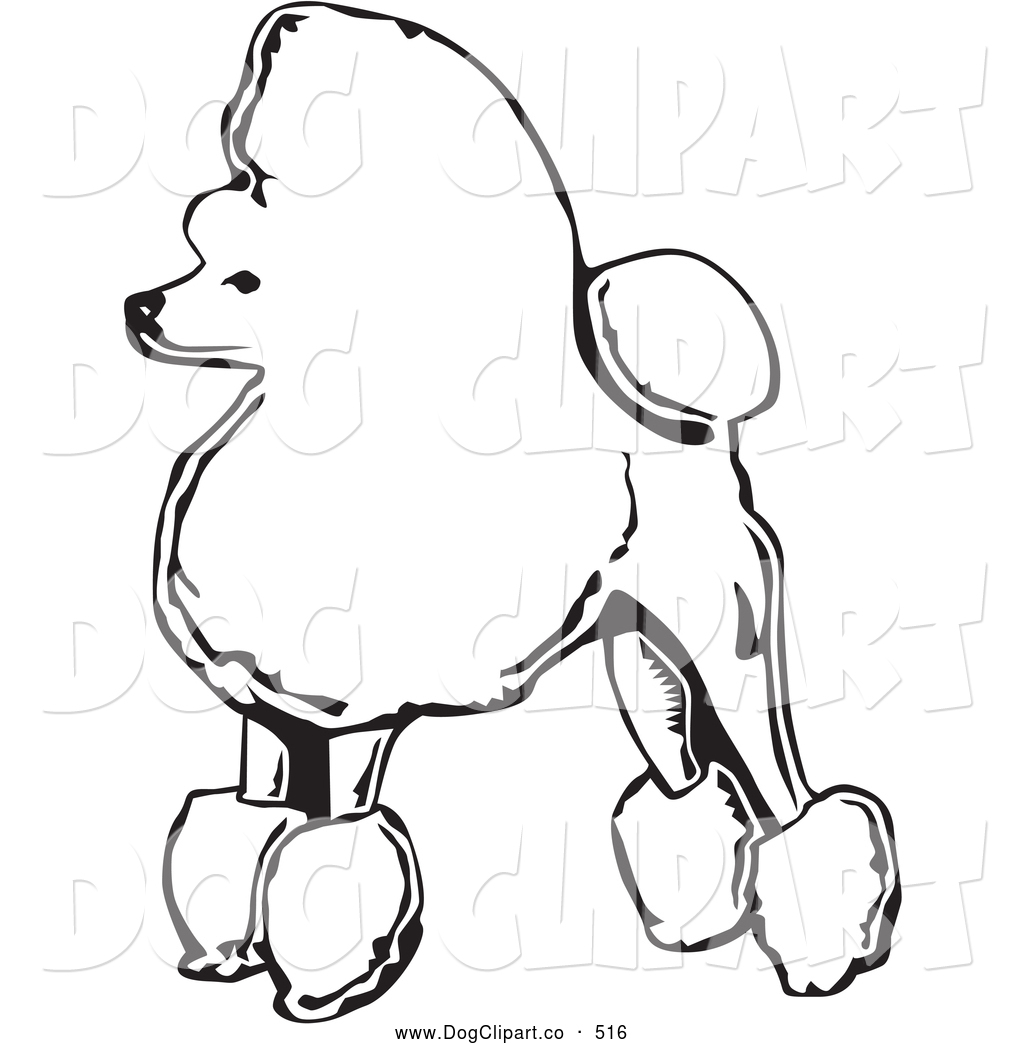 Royalty Free Stock Dog Clipart Of Poodles