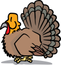 Search Terms Thanksgiving Turkey Turkeys Bird Birds Sitting Search    