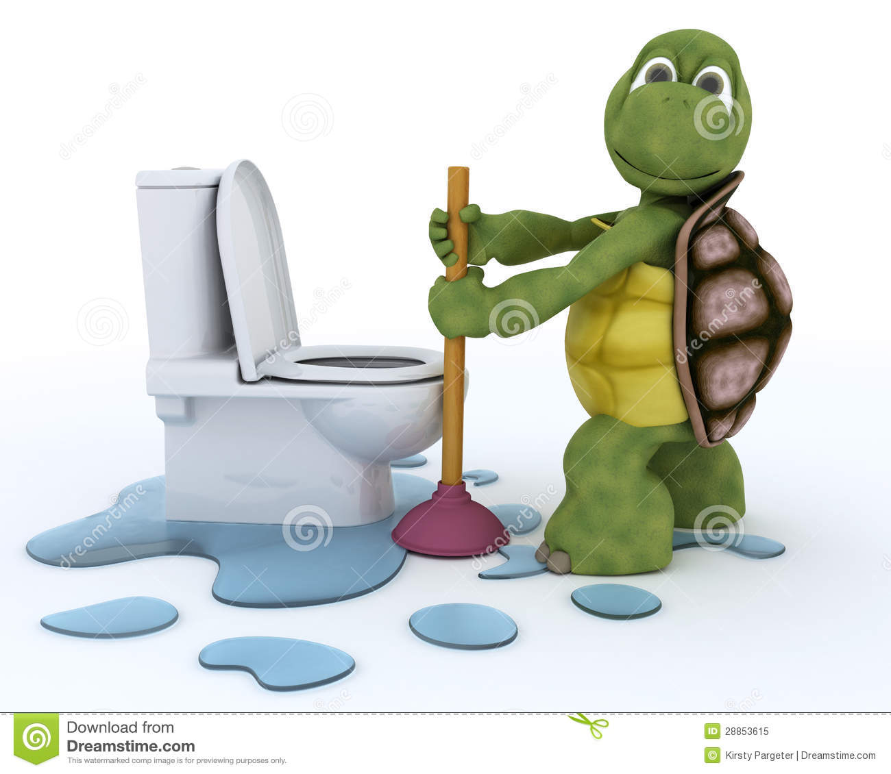 Tortoise Plumbing Contractor Royalty Free Stock Photo   Image    