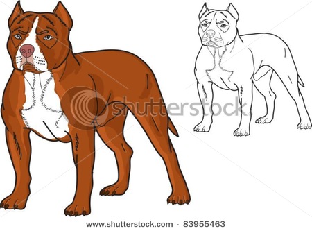 Vicious Dog Drawing Drawing Of A Pit Bull Dog