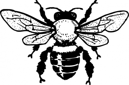 Vintage Honey Bee Clip Art Bee And Honey Vintage