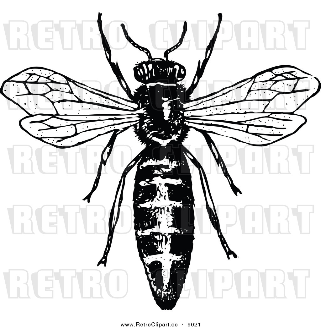 Vintage Queen Bee Clip Art Vector Clipart Of A Retro Black And White    