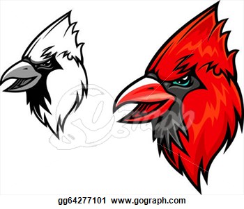 Cardinal Birds