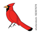 Cartoon Cardinal Bird Clip Art Download 1000 Clip Arts  Page 1    