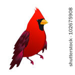 Cartoon Cardinal Bird Clip Art Download 1000 Clip Arts  Page 1