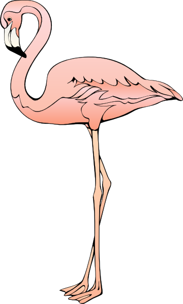 Flamingo 3 Clip Art At Clker Com   Vector Clip Art Online Royalty