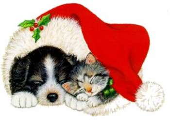 Free Clipart Picture Of A Puppy And A Kitten Sleeping In Santa S Hat