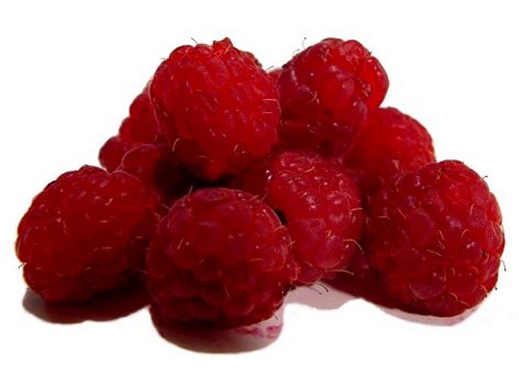 Free Raspberry Clipart Pictures