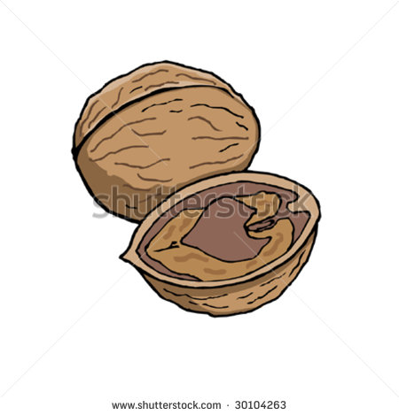 Nuts Isolated Food Stock Vector Illustration 30104263   Shutterstock