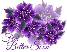 Photo  Feel Better Soon Flowers Jpg   Hearts   Flowers   Butterflies