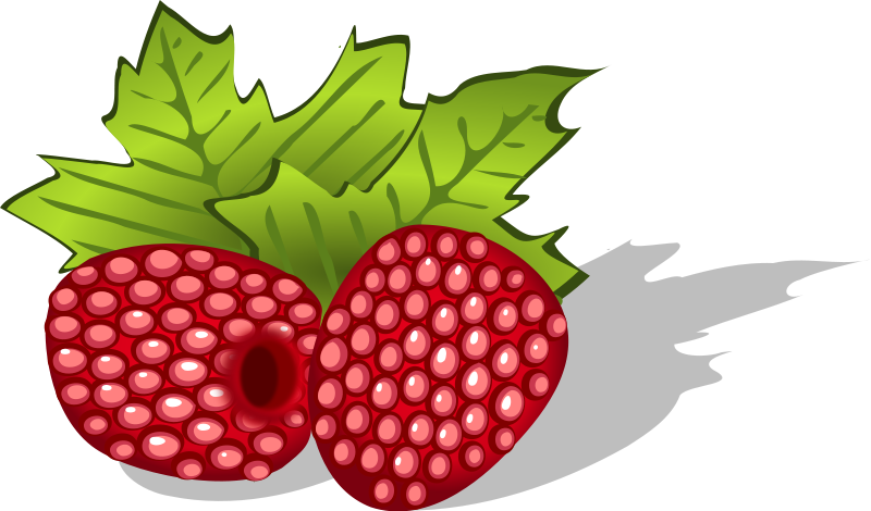 Raspberry Clipart Raspberries Png