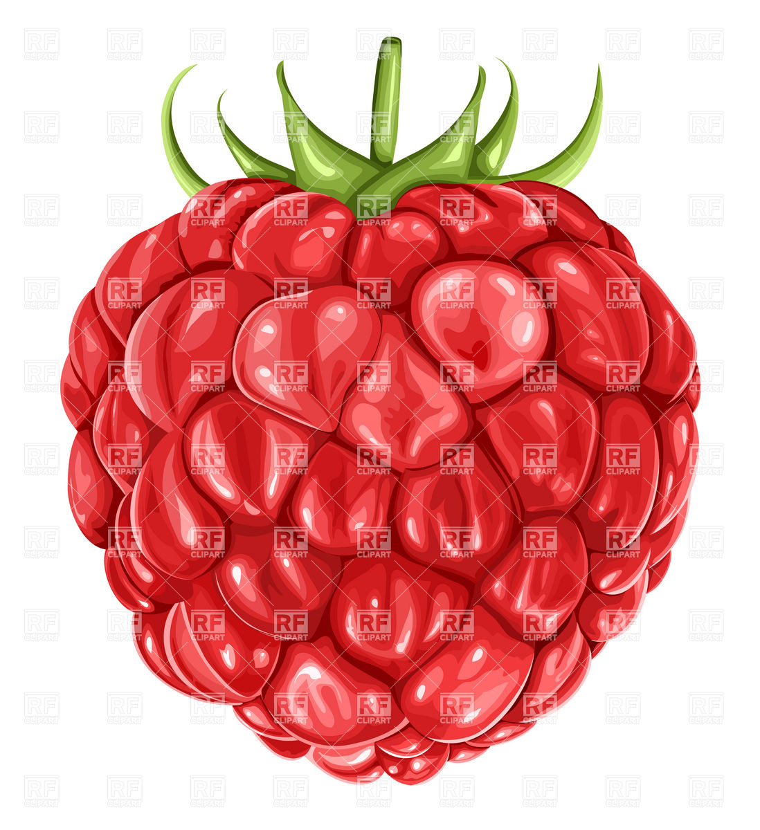 Raspberry Download Royalty Free Vector Clipart  Eps