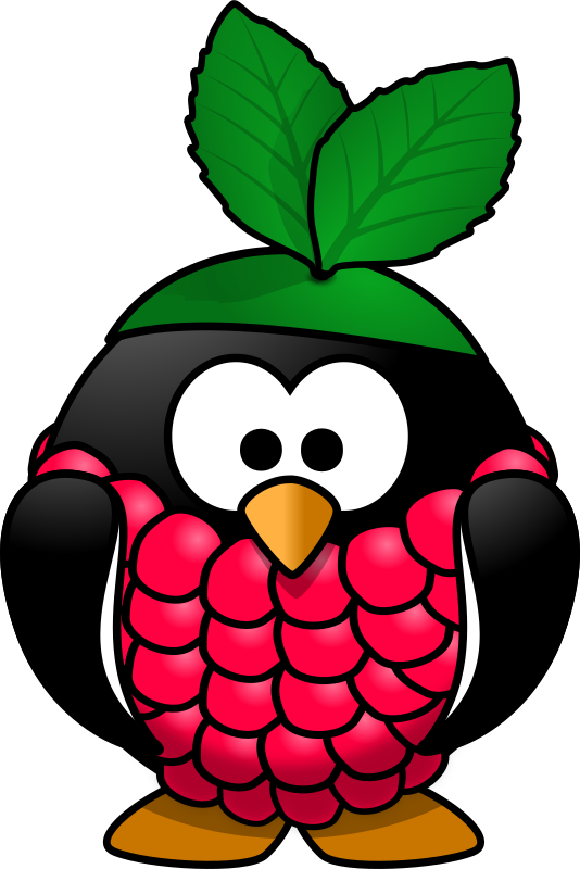 Raspberry Penguin By Moini   A Little Penguin Going To The Carnival In