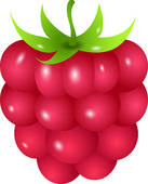 Raspberry Raspberry Vector Monochrome Illustration Of Raspberry Logo