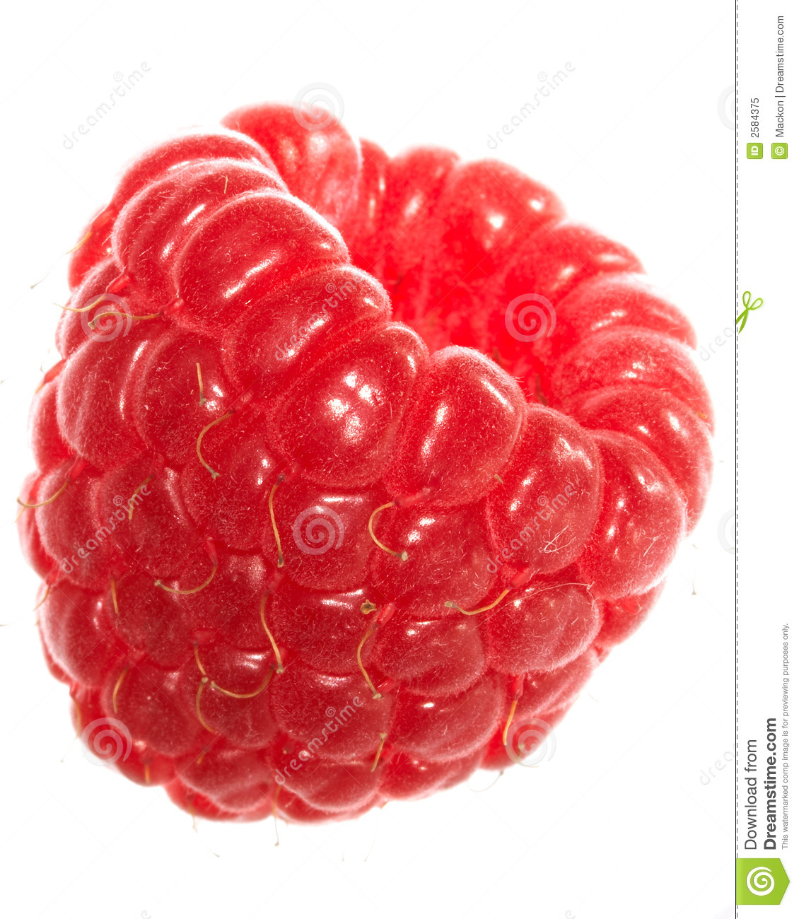 Raspberry Royalty Free Stock Photo   Image  2584375