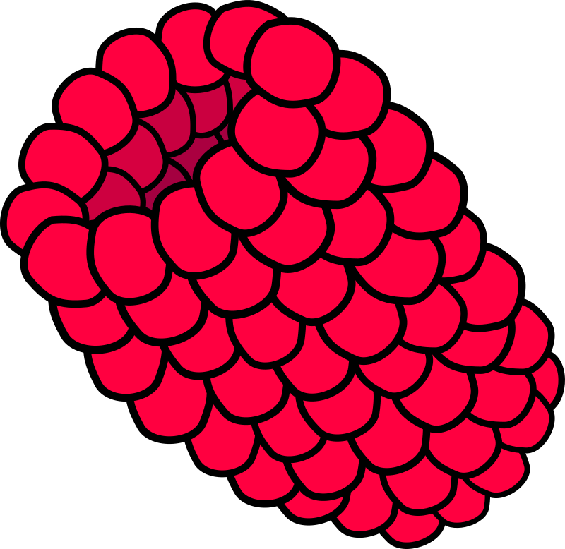 Red Raspberry By Skarg   Red Raspberry