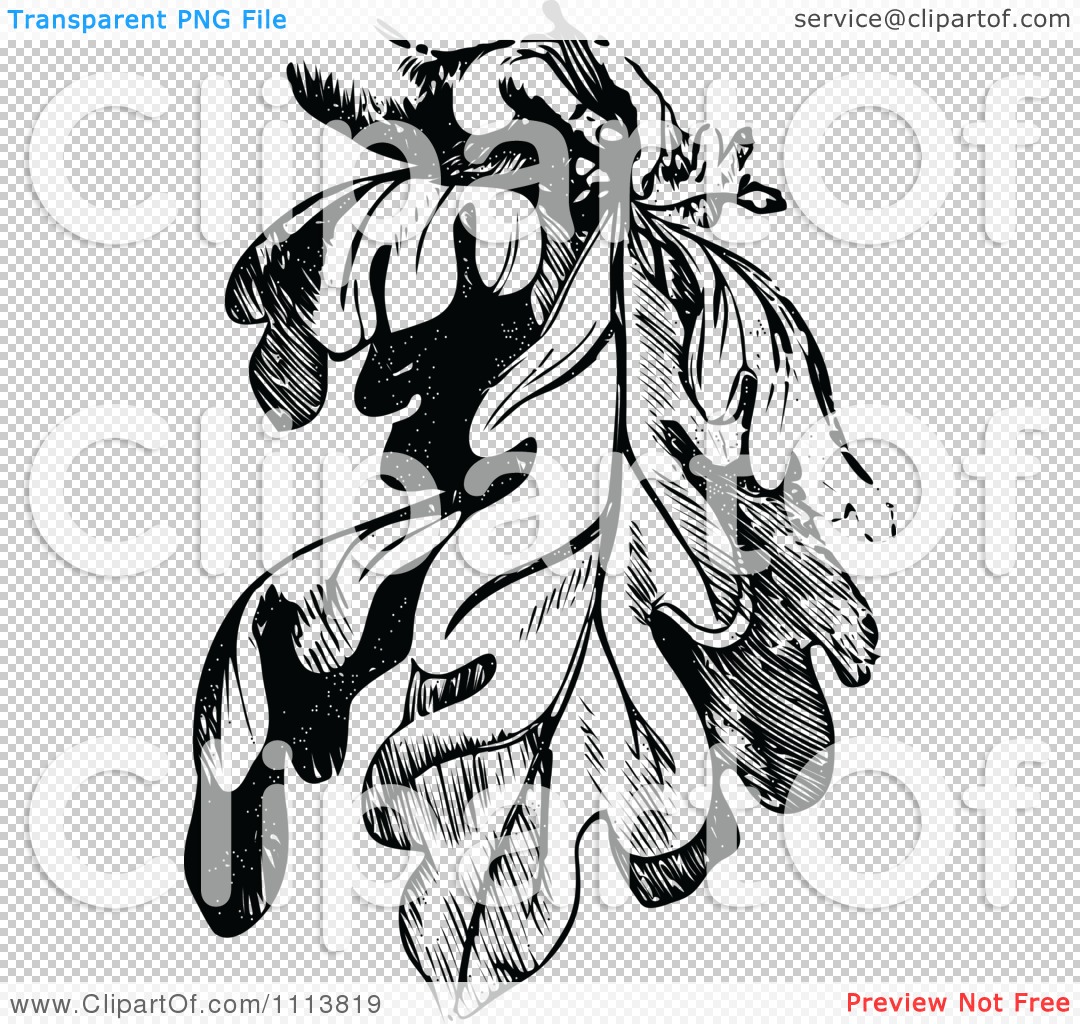 Clipart Vintage Black And White Fig Leaves   Royalty Free Vector    