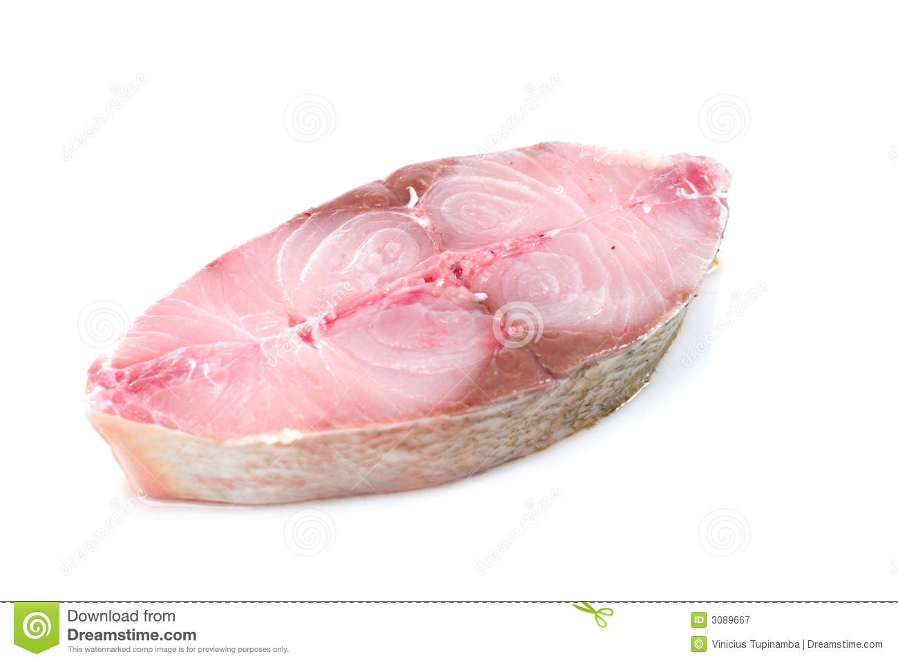 Fish Meat Royalty Free Stock Photography   Image  3089667
