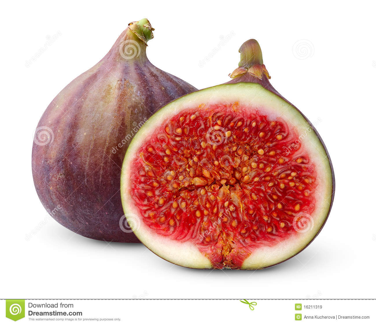 Fresh Figs Royalty Free Stock Images   Image  16211319