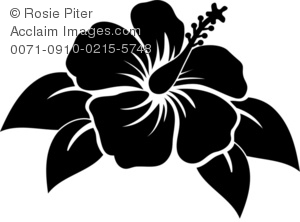 Hibiscus Flower Black And White Clipart Black And White Clip