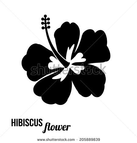Hibiscus Flower Black And White Clipart Hibiscus Flower In Black And