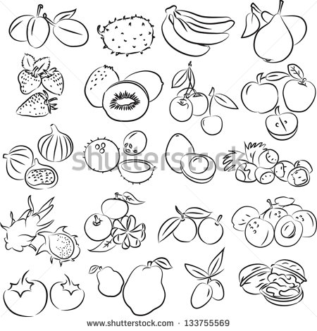 Illustration Of Fruits Collection In Black And White   Stock Vector