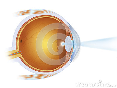 Laser Treatment On The Eye Stock Image   Image  30165711