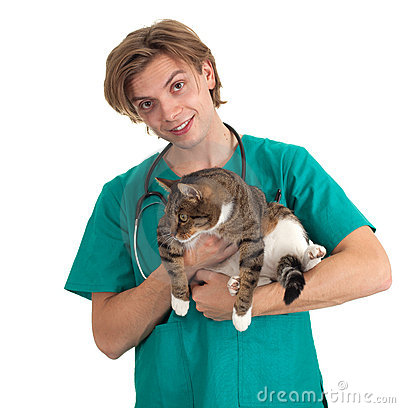 Male Veterinarian Clipart Male Vet Cat Surgery 17296664 Jpg