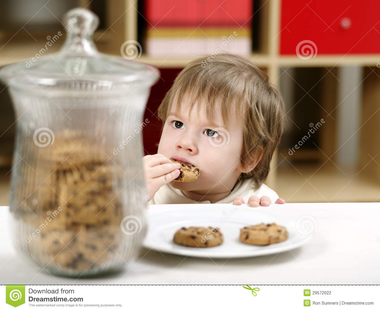 Photo Of A Nineteen Month Old Stealing Cookies From A Plate On A Table