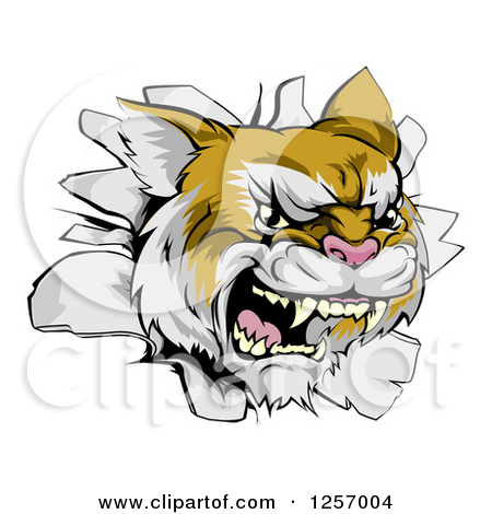 Royalty Free  Rf  Cougar Clipart   Illustrations  1