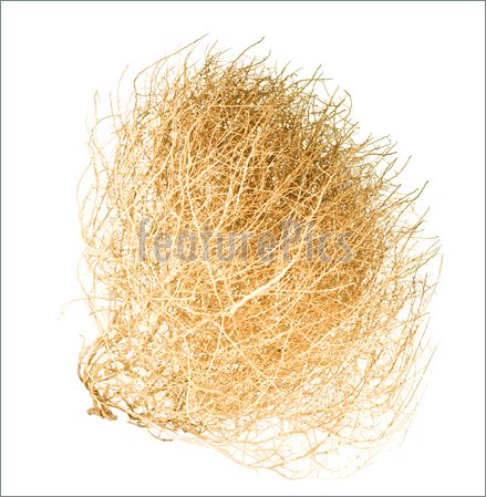 Tumbleweed Pics  Stock Image To Download At Featurepics Com