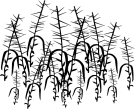 Vector Art Clip Art Brush Seasons Thorns Winter