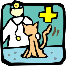 Veterinarian Cat   Http   Www Wpclipart Com Medical Medical Clip Art