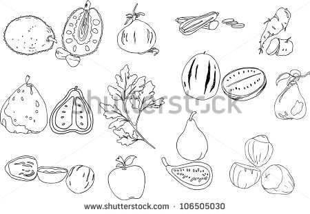 Zucchini Clipart Black And White Images   Pictures   Becuo