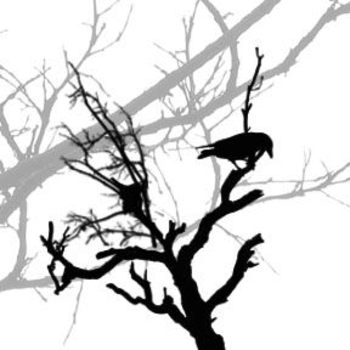 Free Halloween Clipart Raven In A Dead Tree