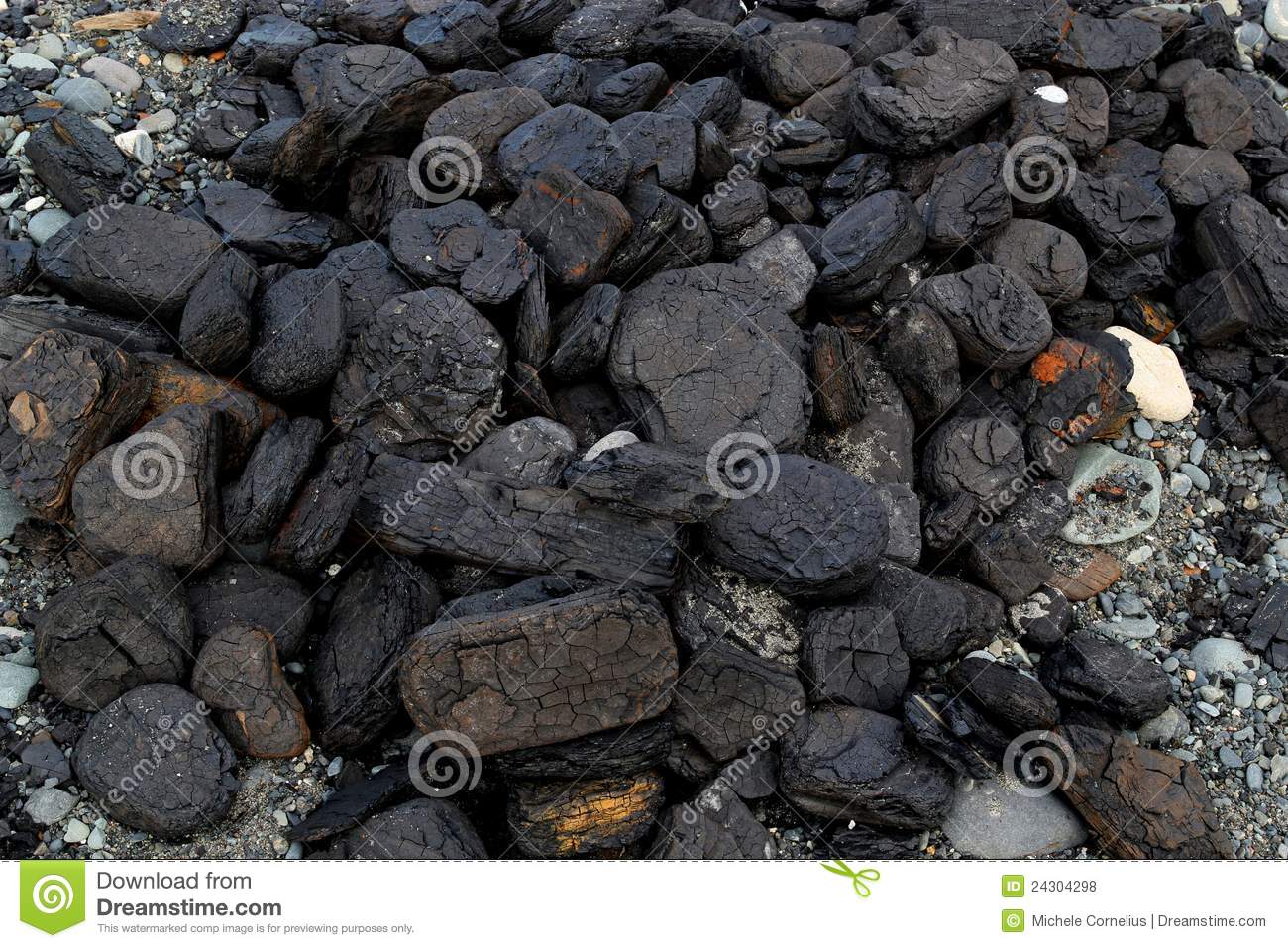 Pile Of Natural Coal Chunks Washed Up On An Alaskan Beach Near A Coal