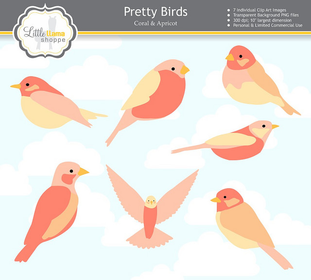 Prettybirds Coralapricot   Flickr   Photo Sharing