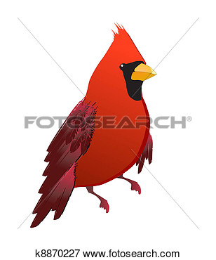 Red Cardinal Bird Isolated  Fotosearch   Search Eps Clipart