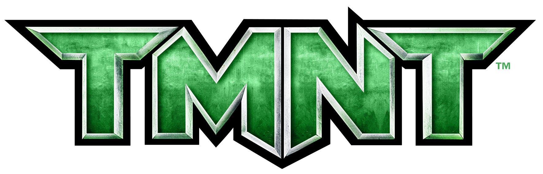 Teenage Mutant Ninja Turtles 2007 Logo