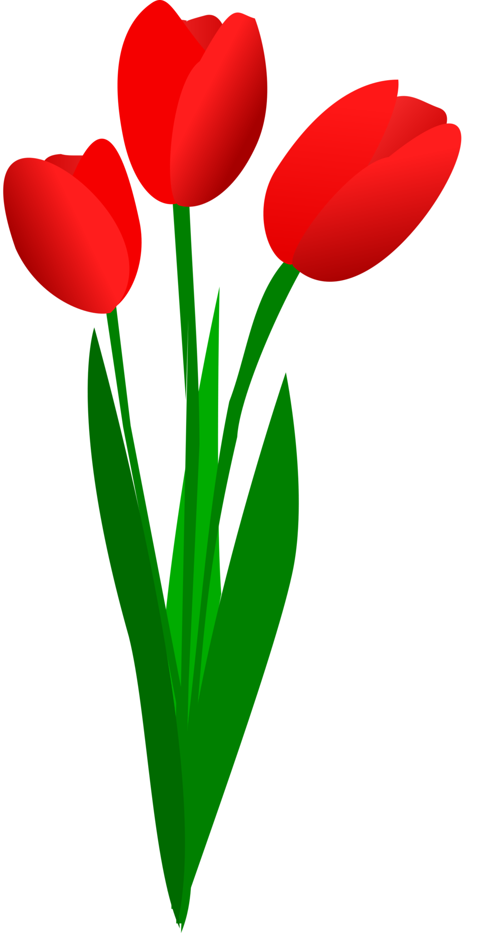There Is 32 Tulip Border   Free Cliparts All Used For Free
