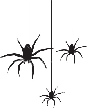 Halloween Spider Clip Art   Cliparts Co
