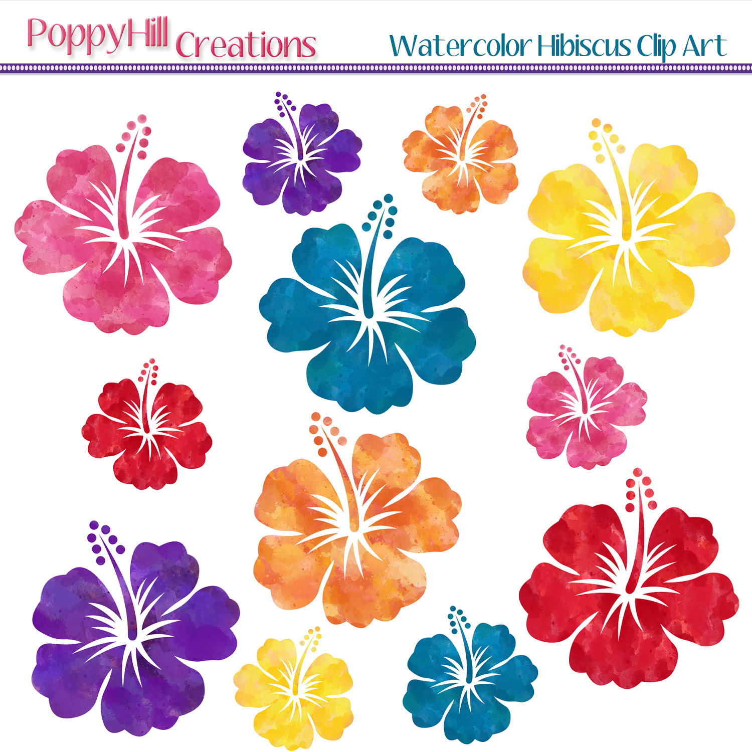 Digital Clipart Set Includes An Assortment Of Hibiscus Flowers